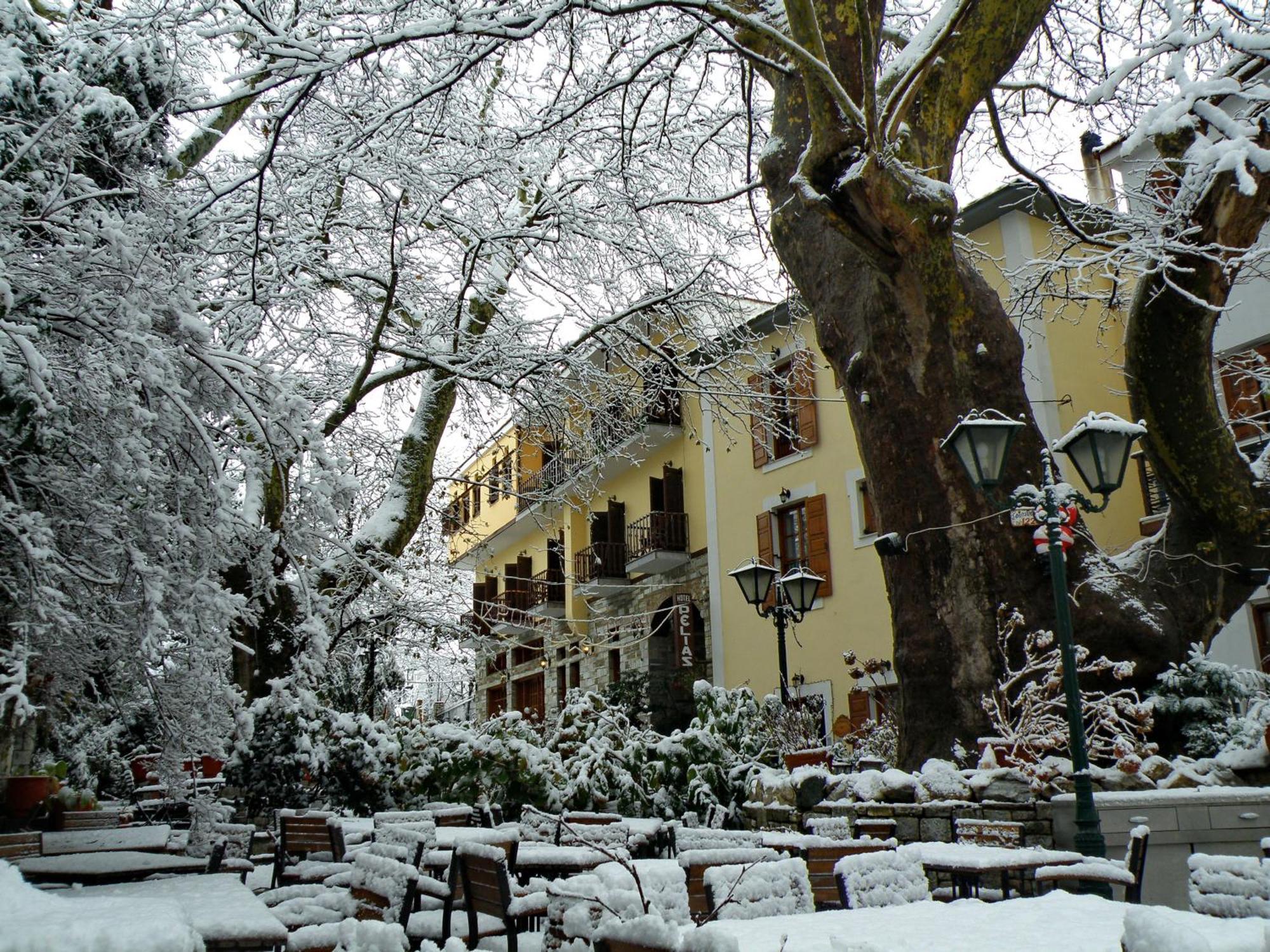 Pelias Hotel Portariá Kültér fotó